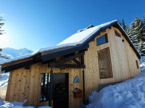 Chalet rénové avec spa, hammam, sauna et jacuzzi - 12 pers - centre Avoriaz - FR-1-314-231